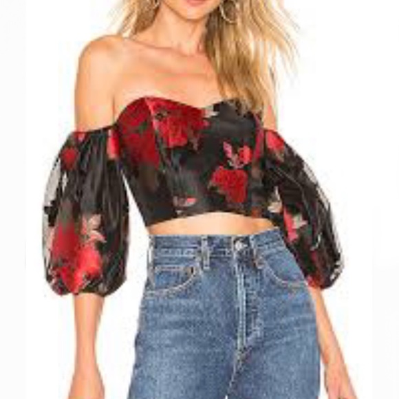Lovers + Friends Tops - NWOT Lovers + Friends Gil Corsette Top Puff Sleeves XXS